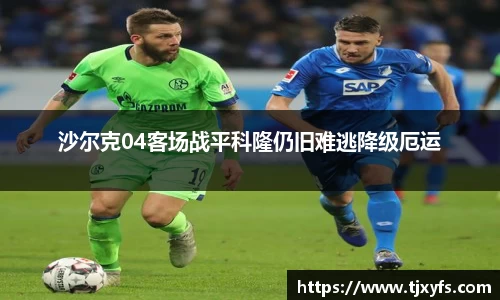 沙尔克04客场战平科隆仍旧难逃降级厄运