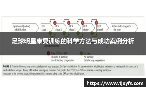 乐鱼体育官网