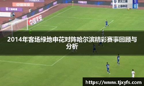2014年客场绿地申花对阵哈尔滨精彩赛事回顾与分析